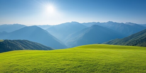 Fototapeta premium A stunning green meadow under a bright blue sky, illuminated by the warm sunlight.