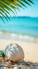 A beach scene with shells scattered on the sand. The shells are of different sizes and colors, creating a beautiful and serene atmosphere