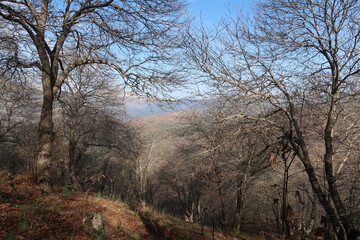 Hike through Bosque de Cobre near Malaga in Spain