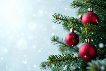 Fototapeta premium Evergreen branches with red spherical ornaments against a snowy white background, Christmas tree decorations, snowflakes, balls