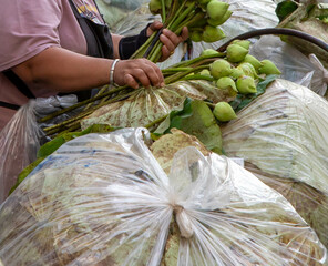 fiorista prepara mazzi di fiori