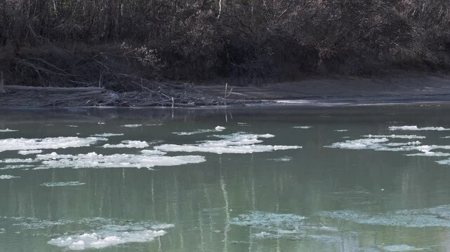 Drifting ice on broad river. Melting blocks quickly float on the water on sunny day. Chuya, Altai
