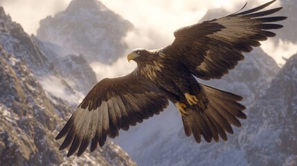 Fototapeta premium Majestic eagle soaring with wings spread wide, dynamic and powerful, soft cloudy background, high resolution
