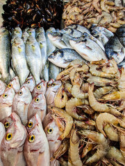 many different fresh seafood fish and shrimp on the counter in the store