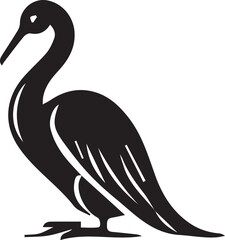 black and white swan