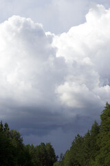 landscape with heart shaped big fluffy cloud  and green forest