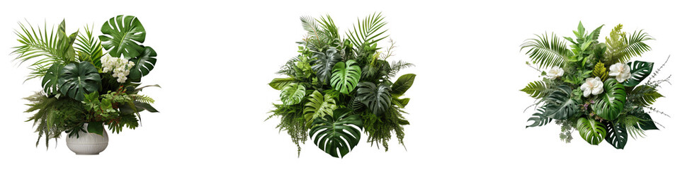 Tropical vibes plants bush floral arran isolated on transparent background, PNG, Set of