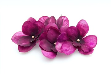 Obraz premium Purple artificial flowers, studio shot, white background, craft decoration