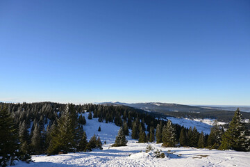 Snowy panorama of the pine woods of the Jura mountains in alpine Switzerland