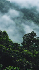 Obraz premium Majestic Misty Forest Canopy in Lush Verdant Landscape : Generative AI