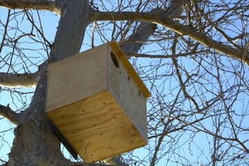 large wooden bird house in a tree