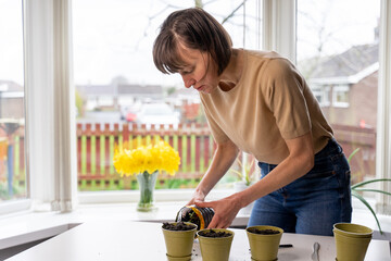 Middle aged woman plants sprouts in the ground in her home office. Small buisness  entrepreneur
