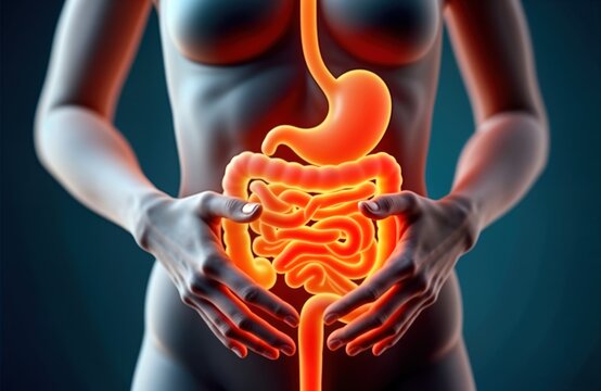 Human digestive system highlighted with glowing organs like stomach intestine, colon. Image shows pain, discomfort in digestive tract. Focus on gastrointestinal health problems as ulcers,