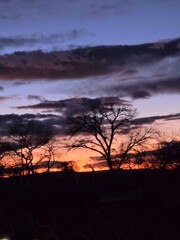 Fototapeta premium Sunset