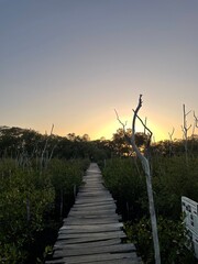 Alter Holzsteg in Costa Rica