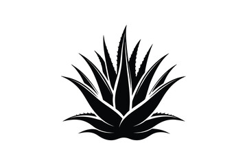 aloe vera silhouette, aloe vera icon, silhouette illustration vector  
