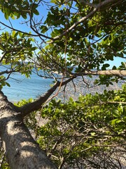 Blick auf den Pazifik am Playa Conchal in Costa Rica