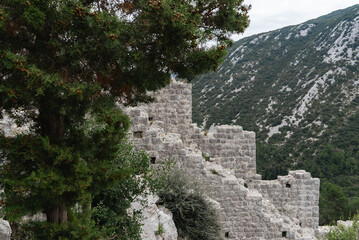 Ston, Croatia. View of the wall of the old Ston fortress in Croatia. The view through the tree.