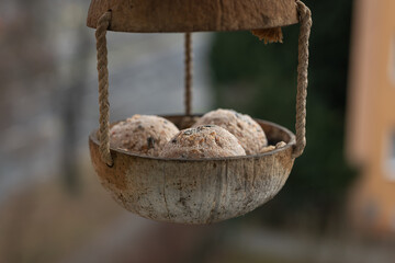 Three tallow balls with seeds in a coconut feeder.
