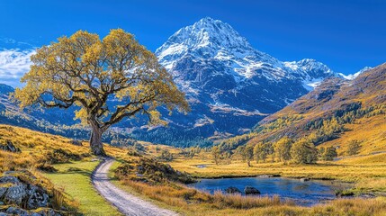 Naklejka premium Autumnal valley path, snow-capped peak, golden leaves