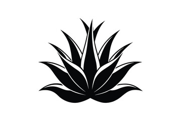 aloe vera silhouette, aloe vera icon, silhouette illustration vector  