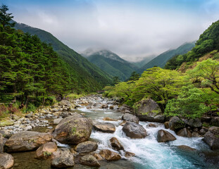 Generated image　きれいな水の流れる川