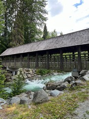 bridge over the river