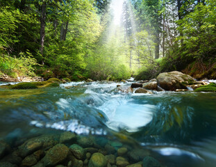 Obraz premium Generated image 美しい川の水中の様子