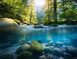 Obraz premium Generated image 美しい川の水中の様子