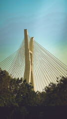 São Paulo bridge , Brasil