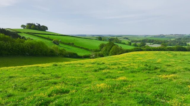 Fields and Farms from a drone, Devon, England,  Europe