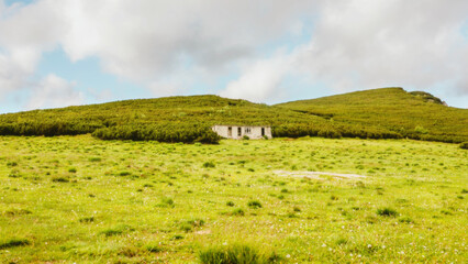 Obraz premium landscape in the mountains