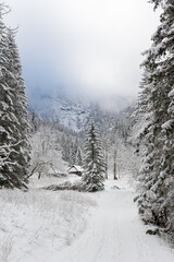 Snowy Path and Cabin in Mountain Winter Landscape.