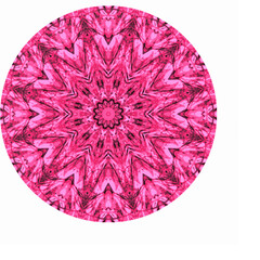 Rosette with black and white structures on purple background, modern abstract design
