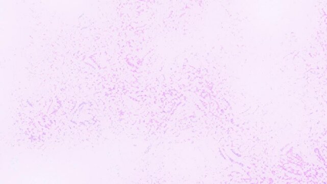 An abstract grainy gradient blur grunge texture motion graphic background design.
