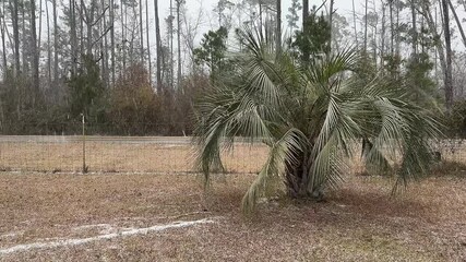 Snow in Florida Wewahitchka, Florida - January 21, 2021