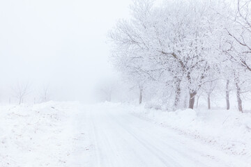 Fototapeta premium Serene winter landscape with a snow covered road flanked by trees, all blanketed in heavy snowfall. Scene exudes calmness and quiet, capturing the essence of a peaceful winter day