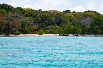 La Isla de Barú es una zona costera situada al sur y a 45 minutos en lancha de Cartagena, Colombia, famosa por sus playas blancas y agua turquesa.