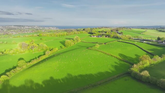 Fields and Farms from a drone, Devon, England,  Europe