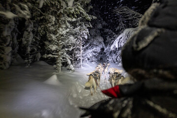 Huskies sledding under the polar night skies in Kiruna, Lapland, northern Sweden.
