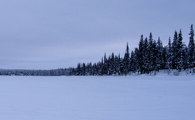 Beautiful cloudy polar night in the forested landscapes of Kiruna in Northern Sweden