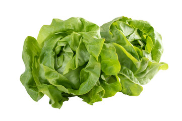 Fototapeta premium Lettuce, fresh salad wrap cut out isolated transparent background