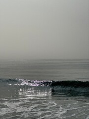 Obraz premium Venice Beach Surfer