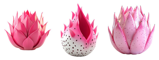 Colorful Pink Lotus Flowers Isolated on Transparent Background