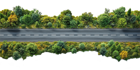 Asphalt road with clean surface, bordered by vibrant greenery and shrubs, top view, isolated on white background, suitable for design projects