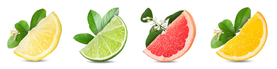 Citrus fruits slices and plant branches isolated on white, set
