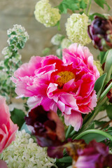 Macro pink tree peony and viburnum