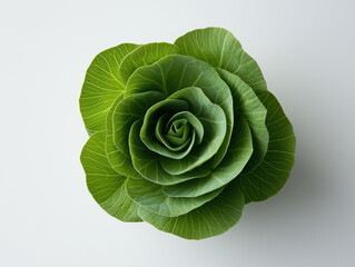 Obraz premium A Fresh Green Cabbage Showcases Its Stunning Spiral Pattern, Vibrant Color, and Natural Beauty in a Perfectly Packed Head.