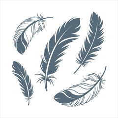 Obraz premium feather and plume silhouette vector illustration.