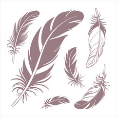 feather and plume silhouette vector illustration.